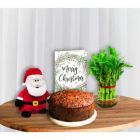 RUM N RAISIN CAKE 2 LAYER LUCKY BAMBOO SANTA SOFT TOY CHRISTMAS GREETING CARD